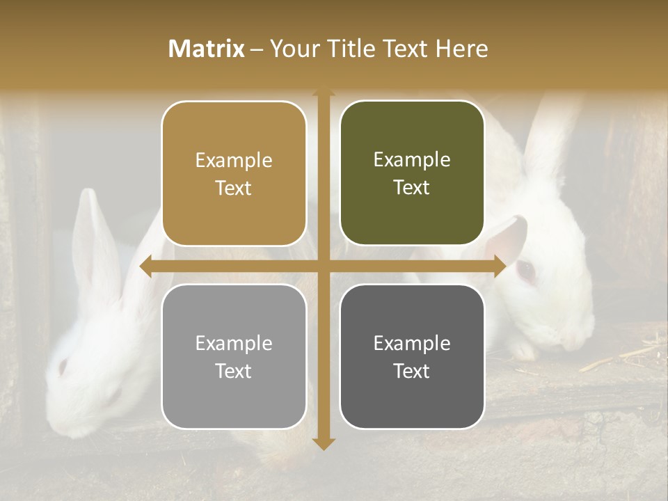 Inside Seasonal Young PowerPoint Template