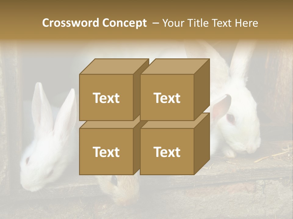 Inside Seasonal Young PowerPoint Template