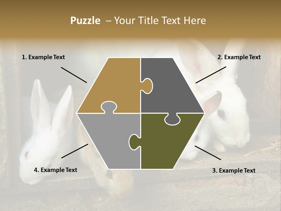 Inside Seasonal Young PowerPoint Template