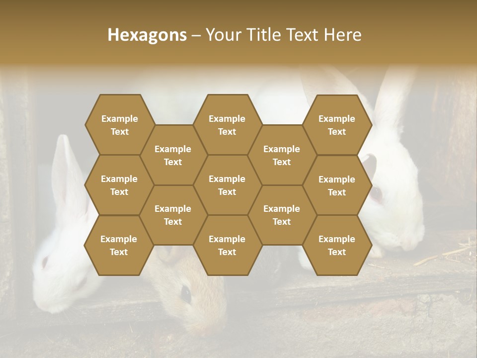 Inside Seasonal Young PowerPoint Template