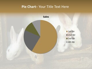 Inside Seasonal Young PowerPoint Template