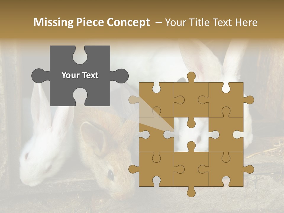 Inside Seasonal Young PowerPoint Template