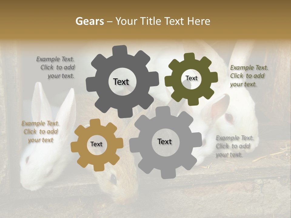 Inside Seasonal Young PowerPoint Template