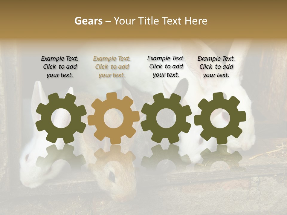 Inside Seasonal Young PowerPoint Template