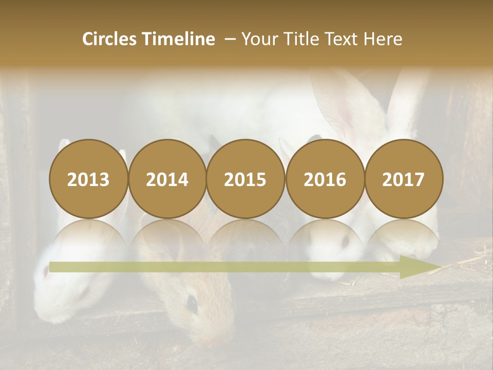 Inside Seasonal Young PowerPoint Template