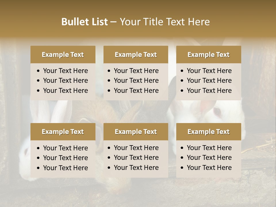 Inside Seasonal Young PowerPoint Template