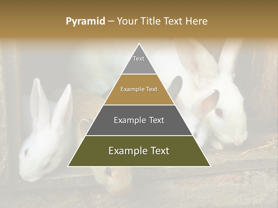 Inside Seasonal Young PowerPoint Template