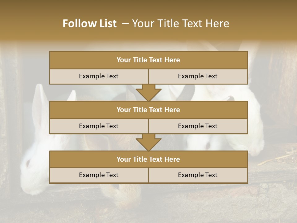 Inside Seasonal Young PowerPoint Template
