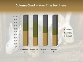 Inside Seasonal Young PowerPoint Template