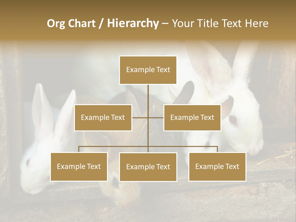 Inside Seasonal Young PowerPoint Template