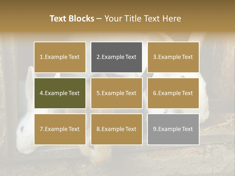 Inside Seasonal Young PowerPoint Template