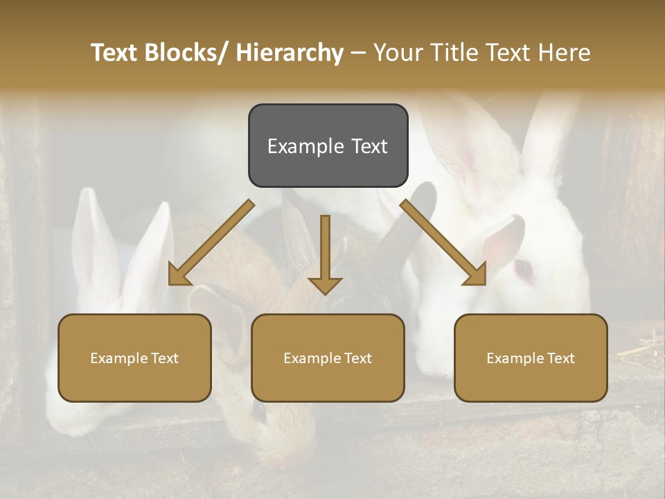 Inside Seasonal Young PowerPoint Template