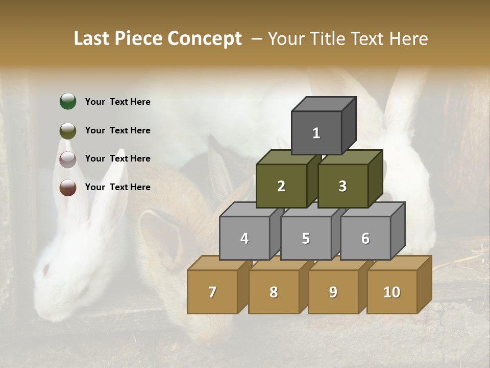 Inside Seasonal Young PowerPoint Template