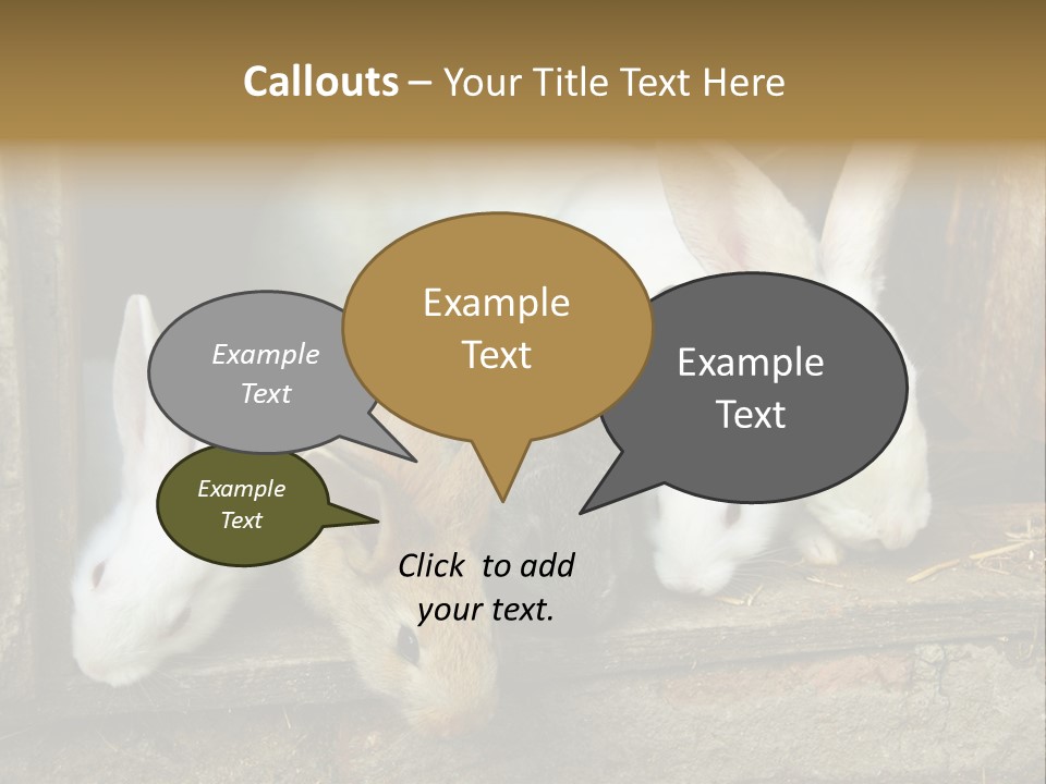 Inside Seasonal Young PowerPoint Template