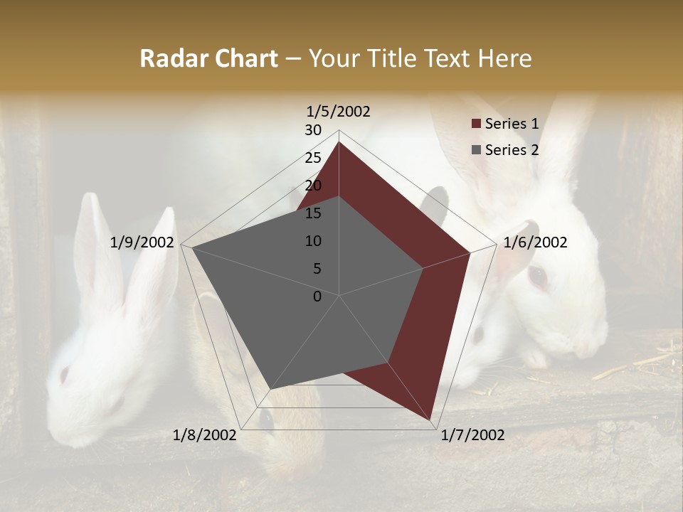 Inside Seasonal Young PowerPoint Template