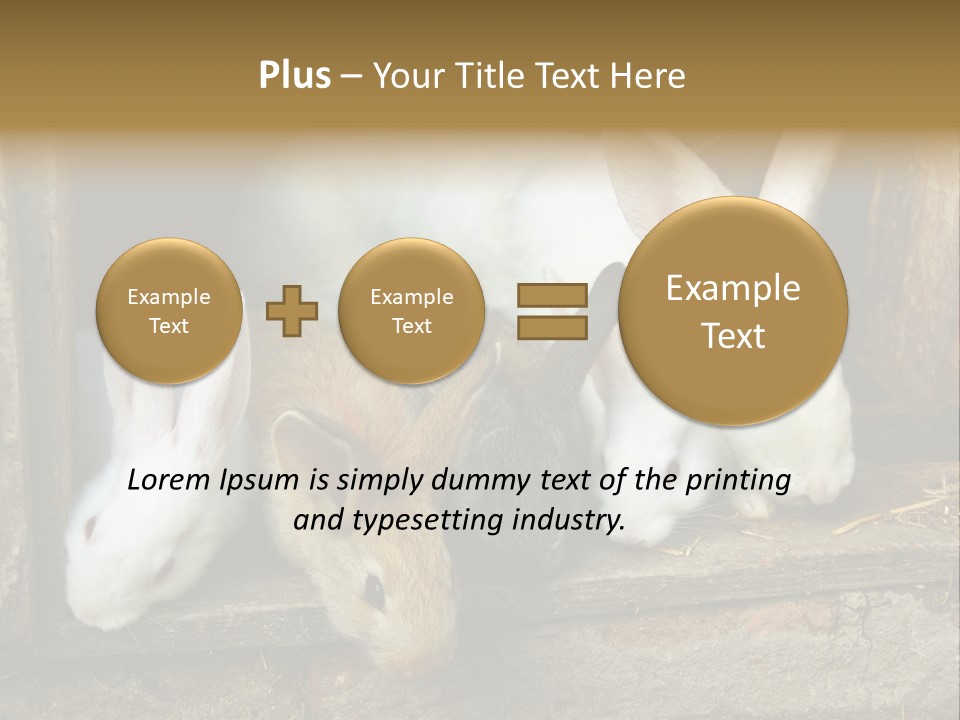 Inside Seasonal Young PowerPoint Template