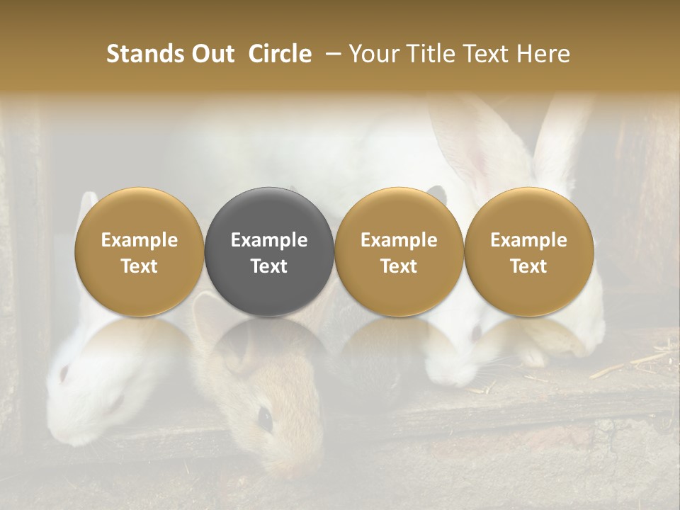 Inside Seasonal Young PowerPoint Template