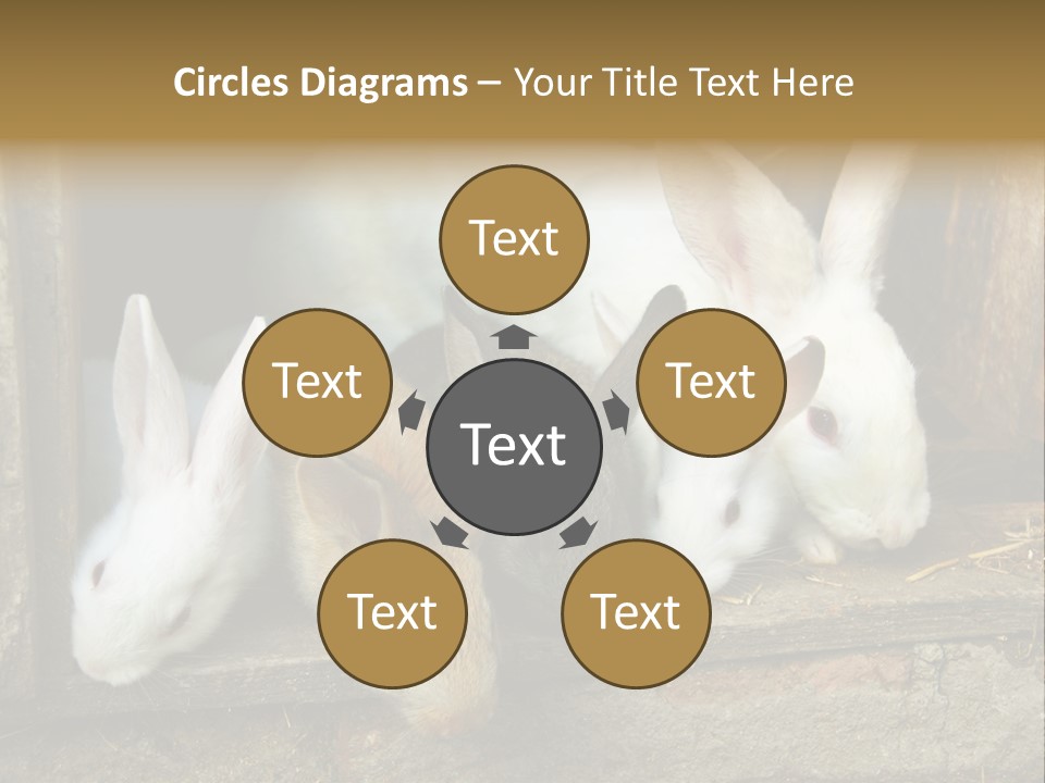 Inside Seasonal Young PowerPoint Template