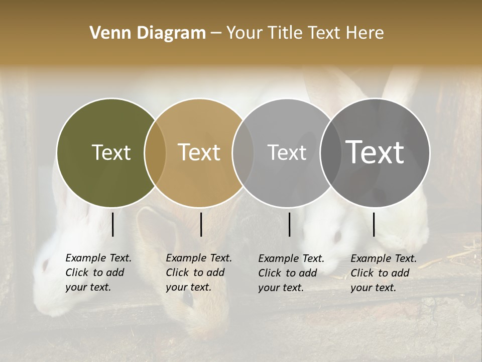 Inside Seasonal Young PowerPoint Template