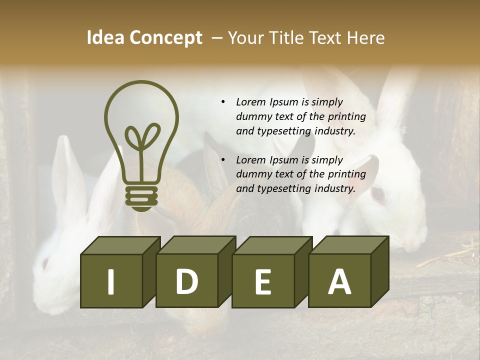 Inside Seasonal Young PowerPoint Template