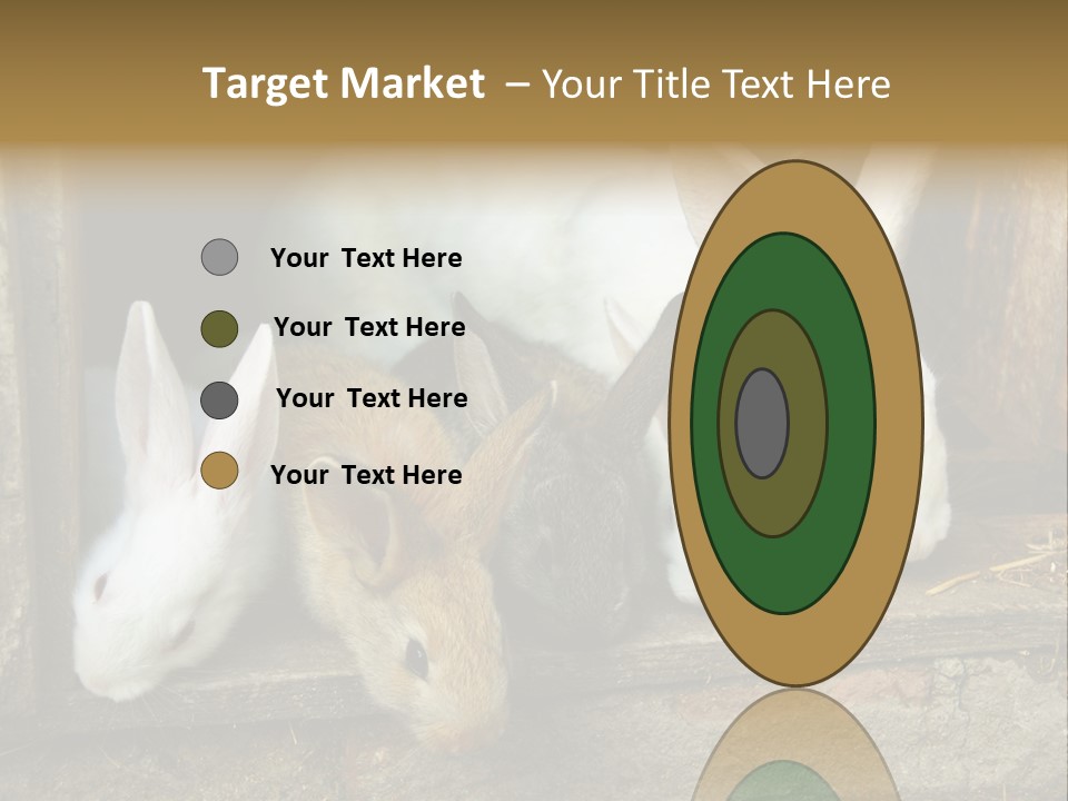 Inside Seasonal Young PowerPoint Template