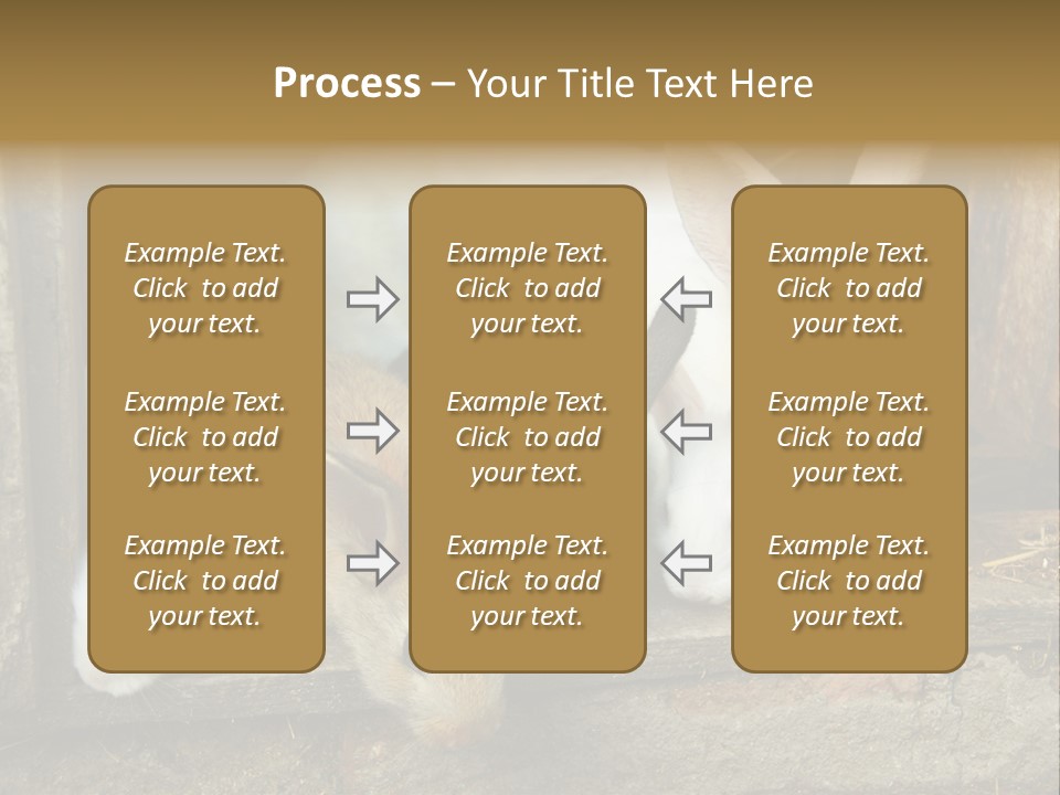 Inside Seasonal Young PowerPoint Template