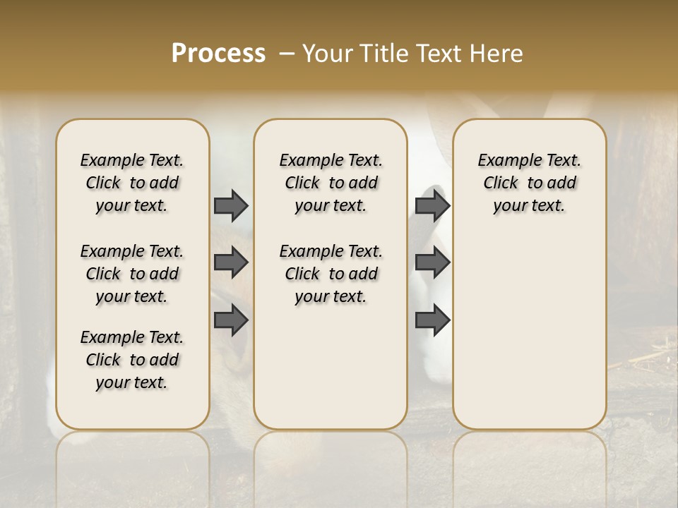 Inside Seasonal Young PowerPoint Template