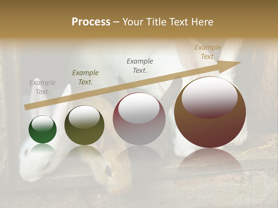 Inside Seasonal Young PowerPoint Template