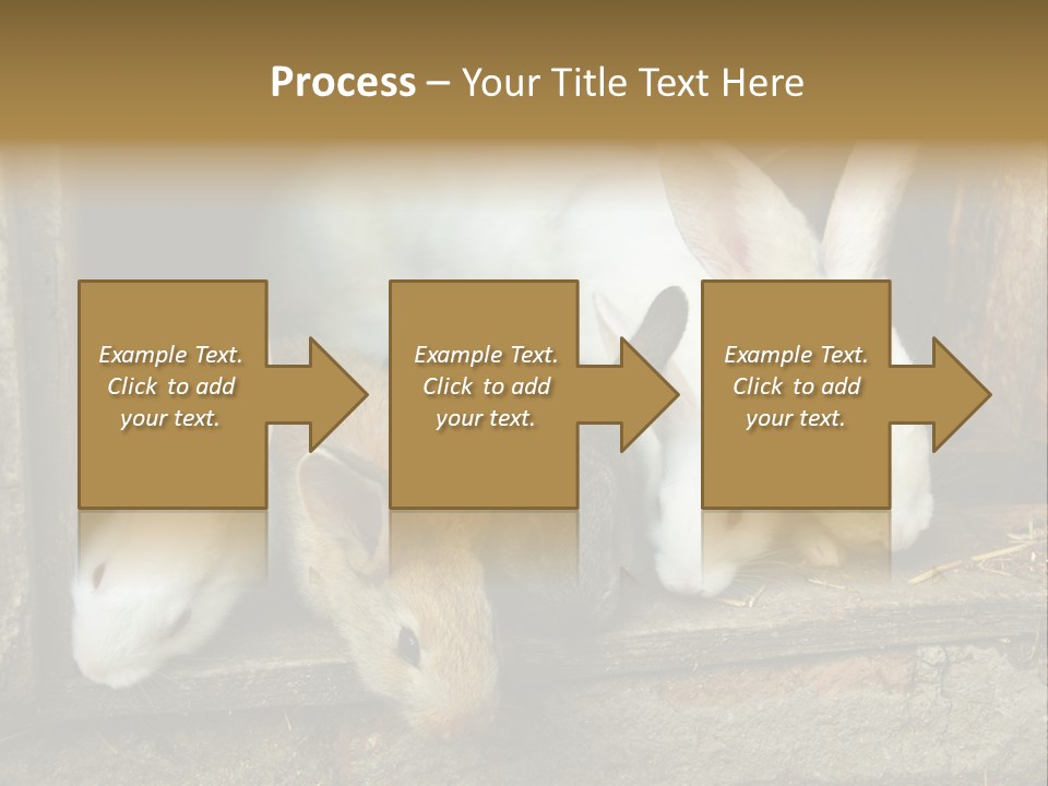 Inside Seasonal Young PowerPoint Template