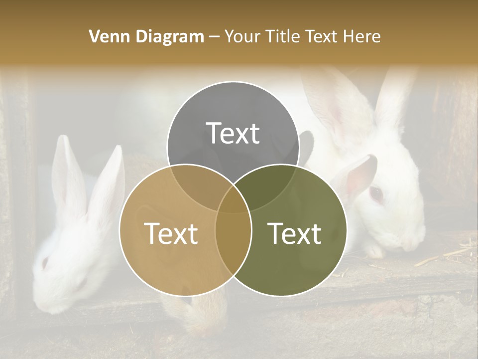 Inside Seasonal Young PowerPoint Template