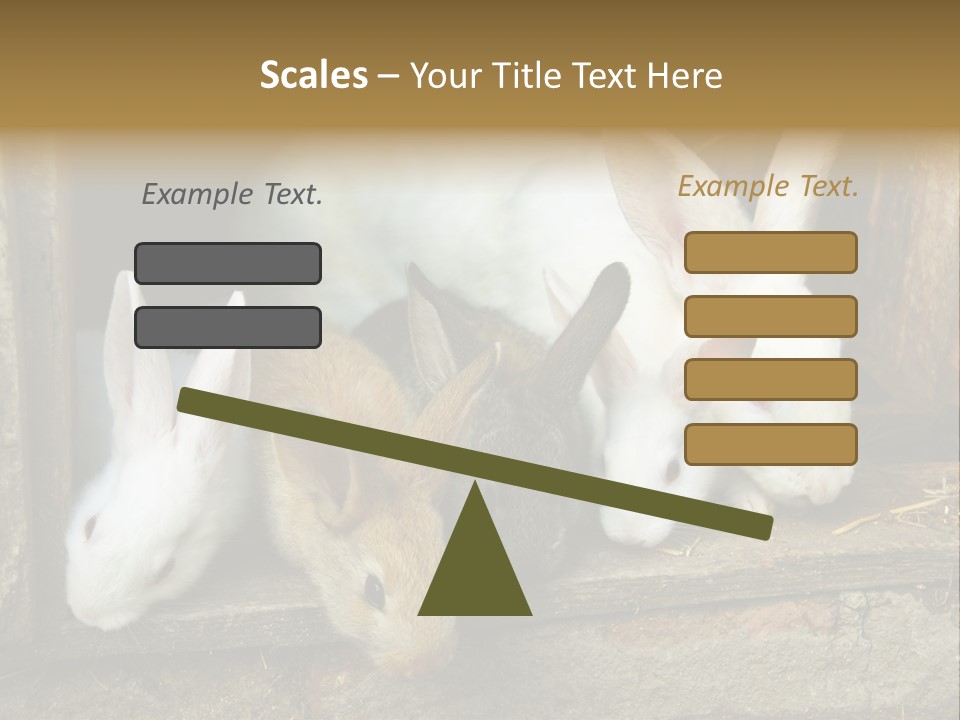 Inside Seasonal Young PowerPoint Template