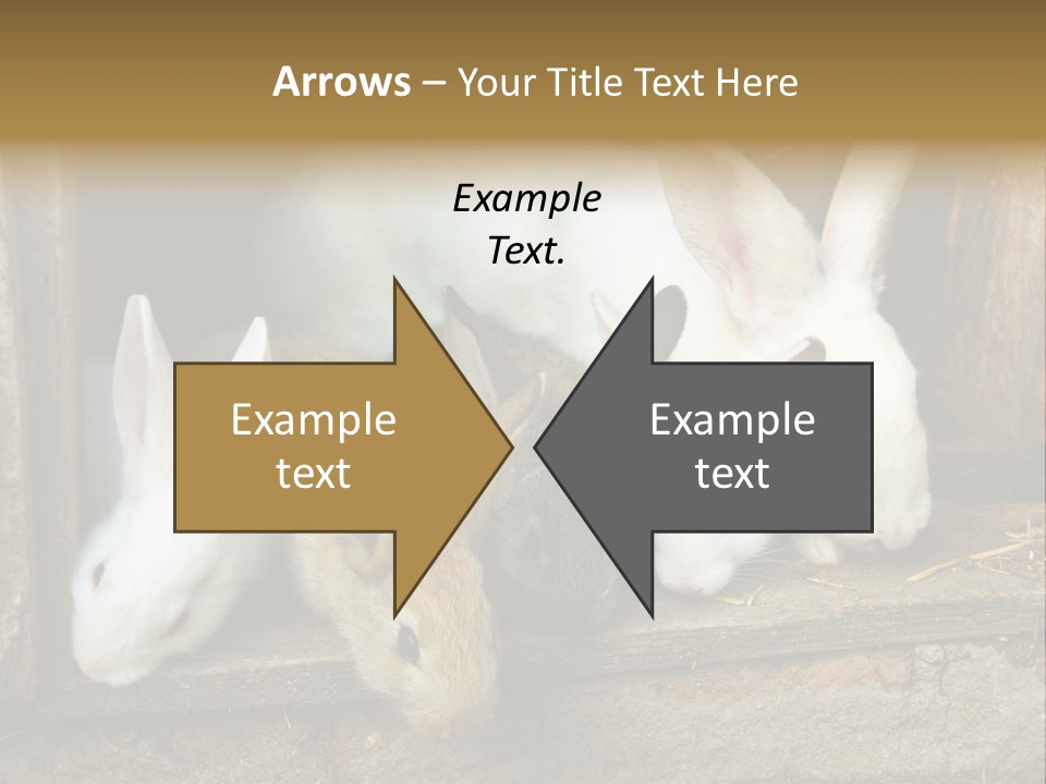 Inside Seasonal Young PowerPoint Template