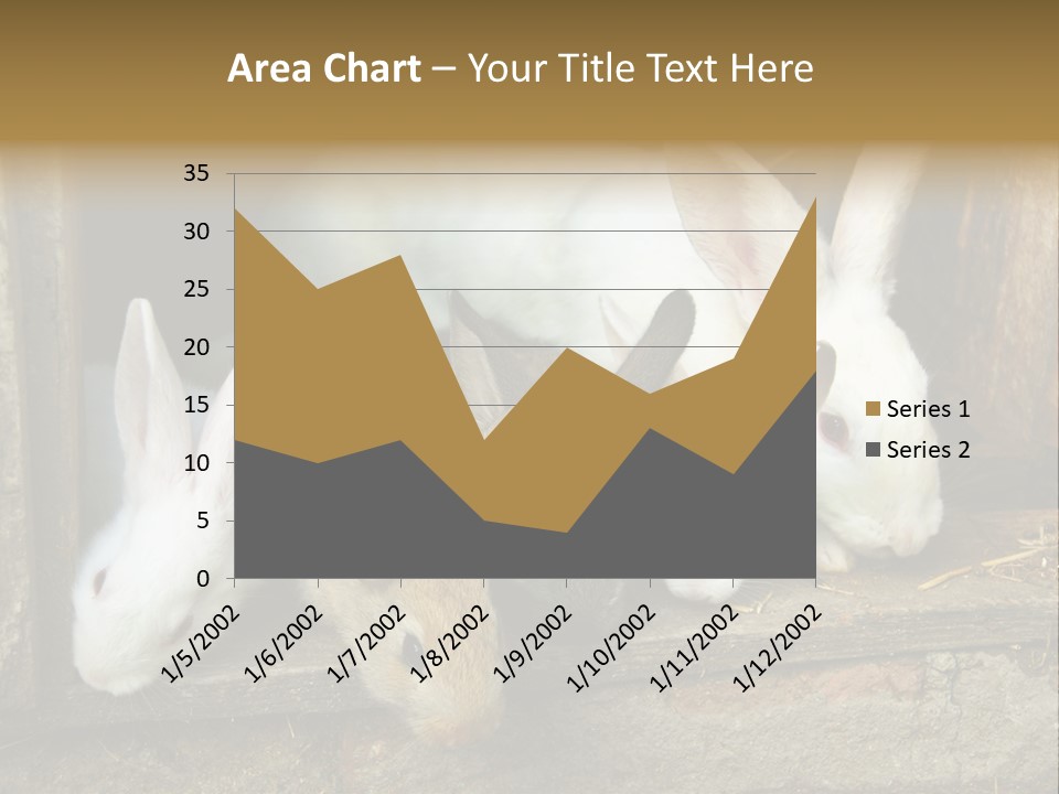 Inside Seasonal Young PowerPoint Template