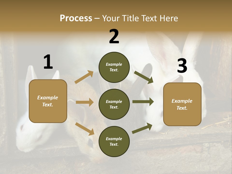 Inside Seasonal Young PowerPoint Template