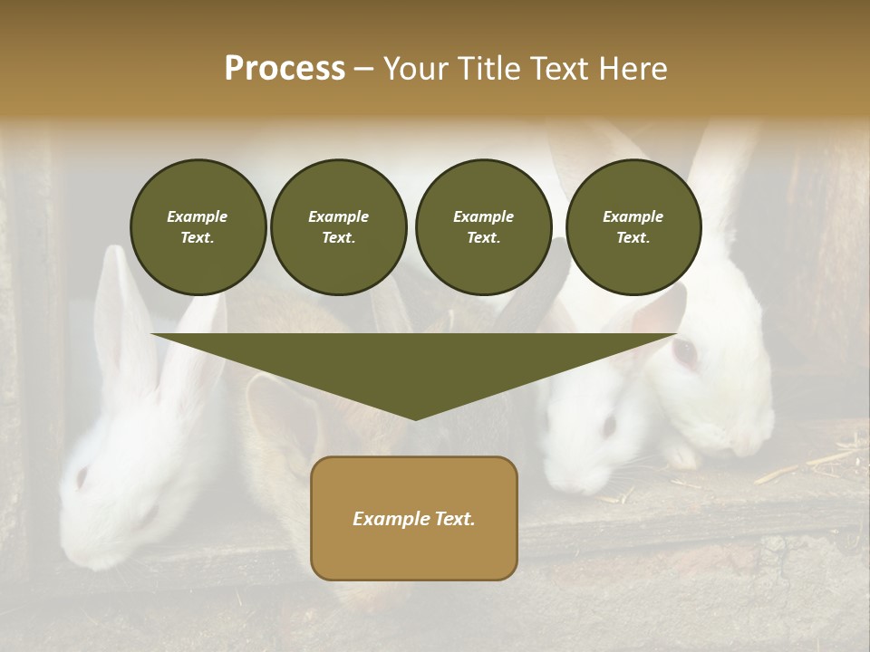 Inside Seasonal Young PowerPoint Template