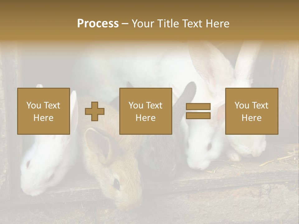 Inside Seasonal Young PowerPoint Template