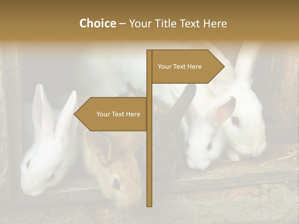 Inside Seasonal Young PowerPoint Template