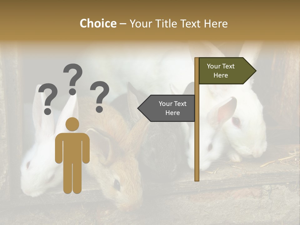 Inside Seasonal Young PowerPoint Template