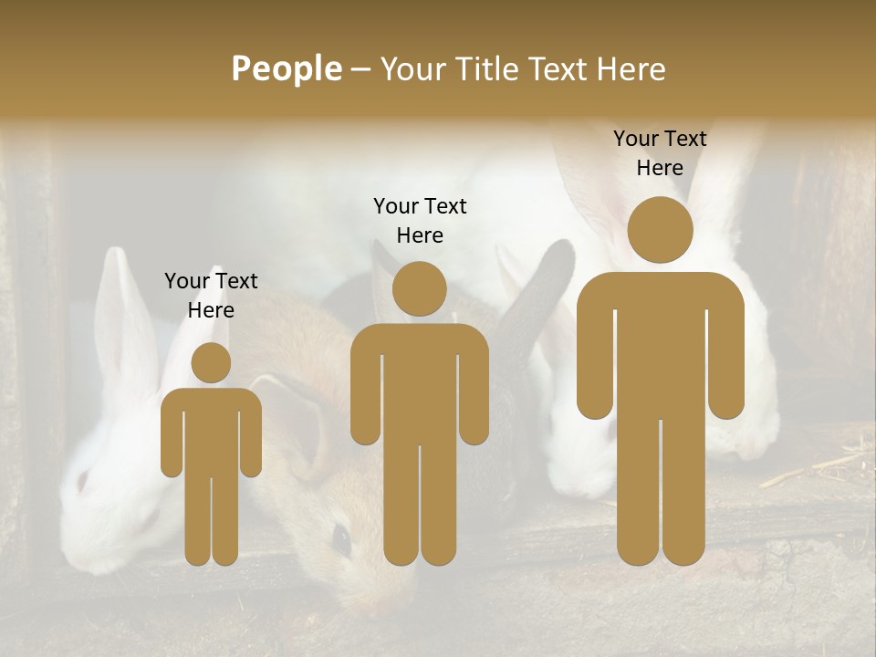 Inside Seasonal Young PowerPoint Template