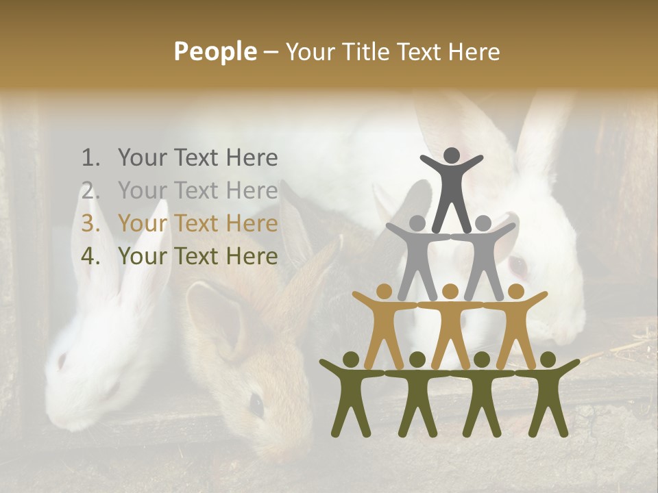 Inside Seasonal Young PowerPoint Template