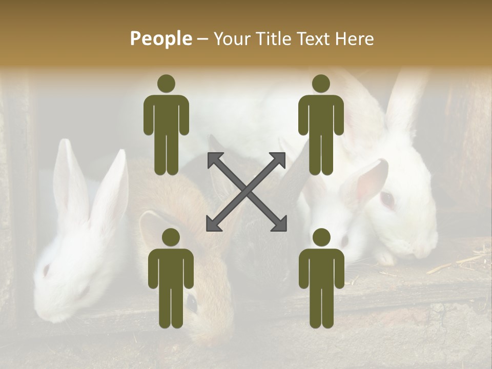 Inside Seasonal Young PowerPoint Template