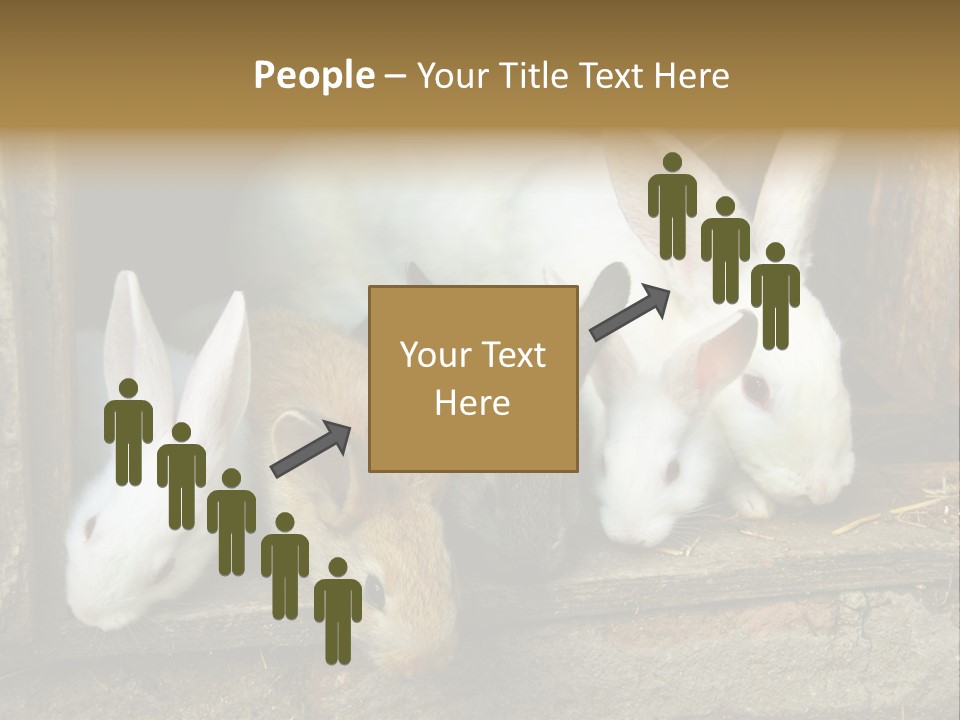 Inside Seasonal Young PowerPoint Template