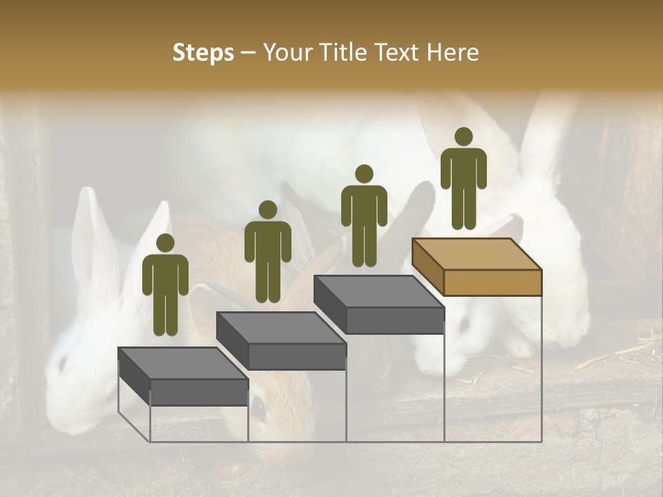 Inside Seasonal Young PowerPoint Template