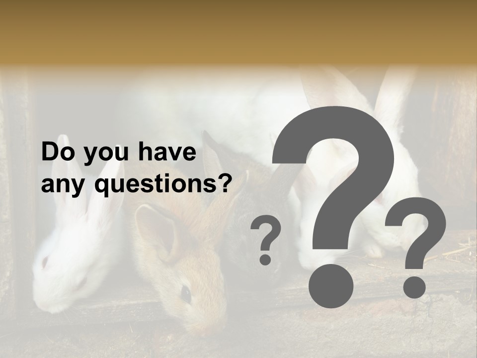 Inside Seasonal Young PowerPoint Template