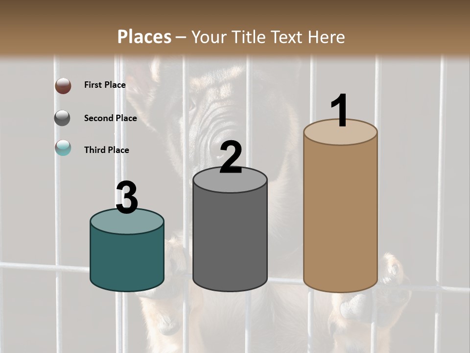 Cage Vacate Stare PowerPoint Template