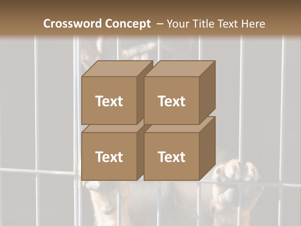 Cage Vacate Stare PowerPoint Template