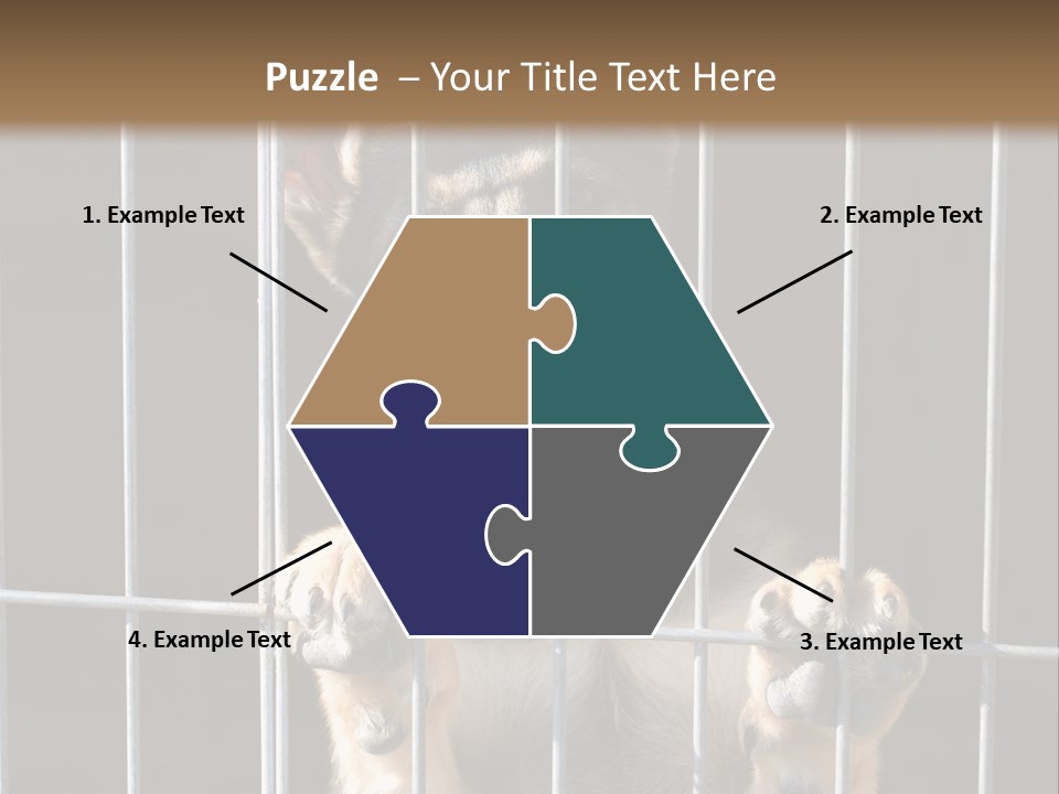 Cage Vacate Stare PowerPoint Template