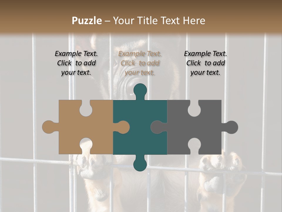 Cage Vacate Stare PowerPoint Template