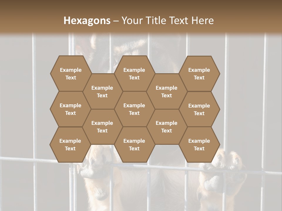 Cage Vacate Stare PowerPoint Template