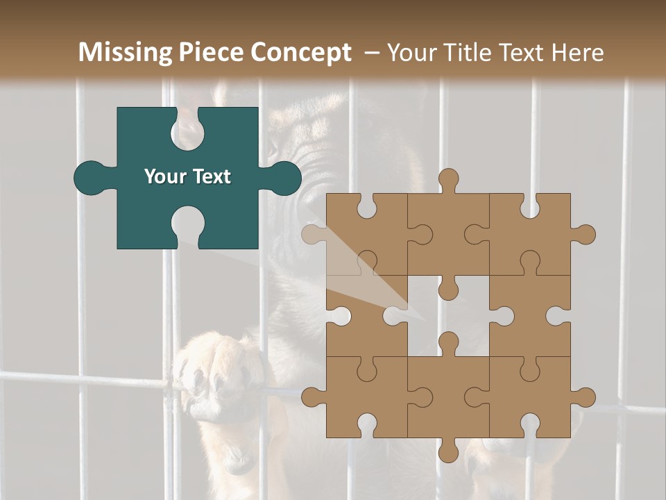 Cage Vacate Stare PowerPoint Template